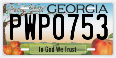 GA license plate PWP0753