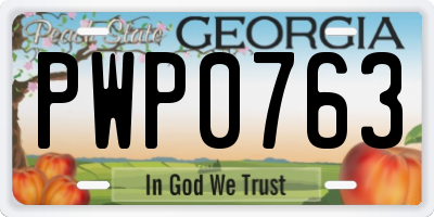 GA license plate PWP0763