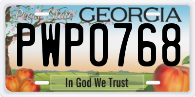 GA license plate PWP0768