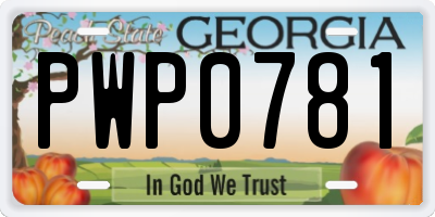 GA license plate PWP0781