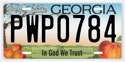 GA license plate PWP0784