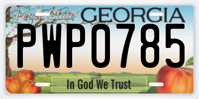 GA license plate PWP0785