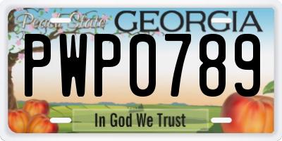 GA license plate PWP0789