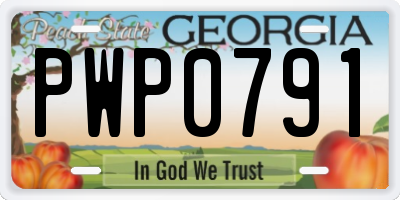 GA license plate PWP0791