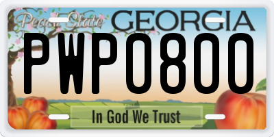 GA license plate PWP0800