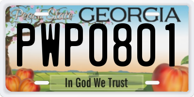 GA license plate PWP0801