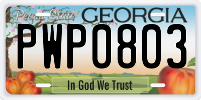 GA license plate PWP0803