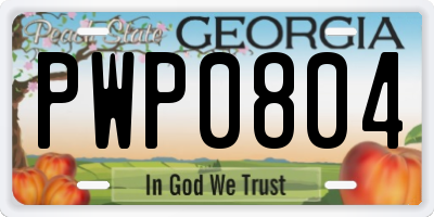 GA license plate PWP0804