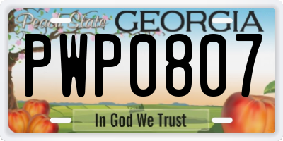 GA license plate PWP0807