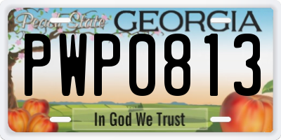 GA license plate PWP0813