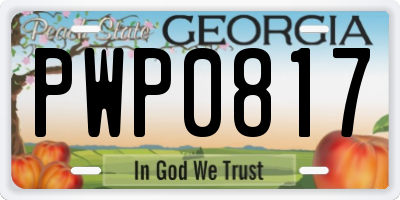 GA license plate PWP0817