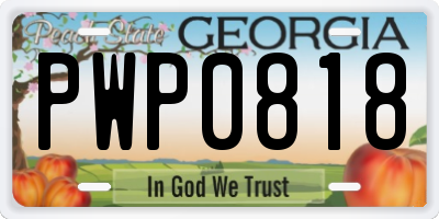 GA license plate PWP0818