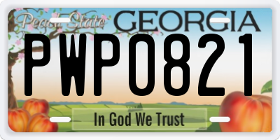 GA license plate PWP0821