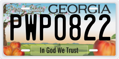 GA license plate PWP0822