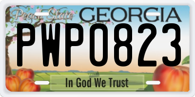 GA license plate PWP0823
