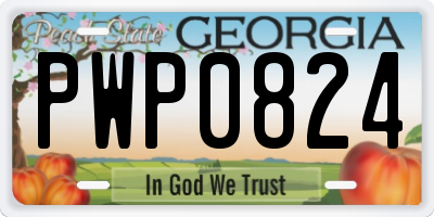 GA license plate PWP0824