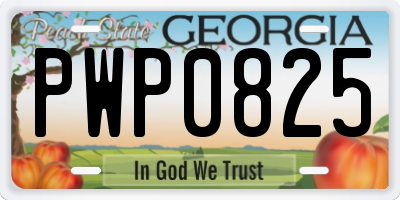 GA license plate PWP0825
