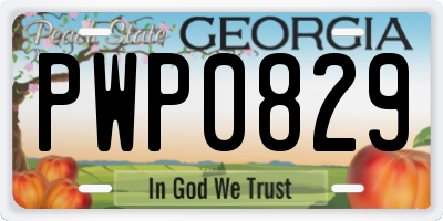 GA license plate PWP0829