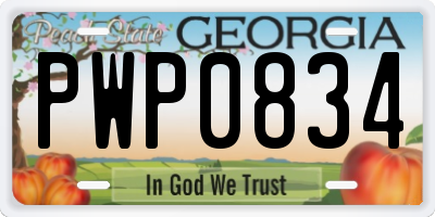 GA license plate PWP0834