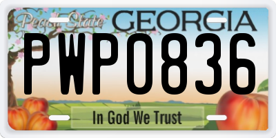 GA license plate PWP0836