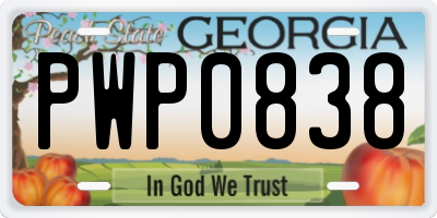 GA license plate PWP0838