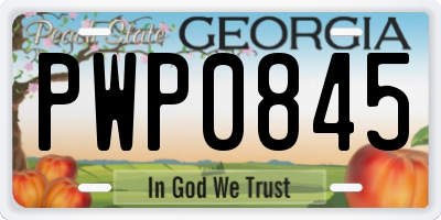 GA license plate PWP0845