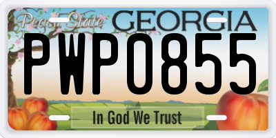 GA license plate PWP0855