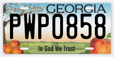 GA license plate PWP0858