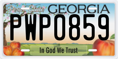 GA license plate PWP0859