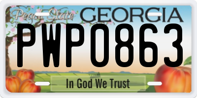 GA license plate PWP0863
