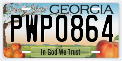 GA license plate PWP0864