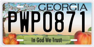 GA license plate PWP0871