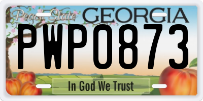 GA license plate PWP0873