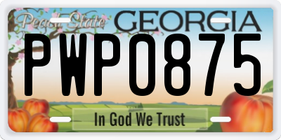 GA license plate PWP0875
