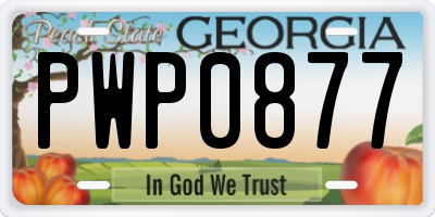 GA license plate PWP0877