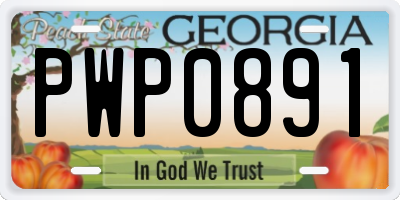 GA license plate PWP0891