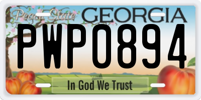 GA license plate PWP0894