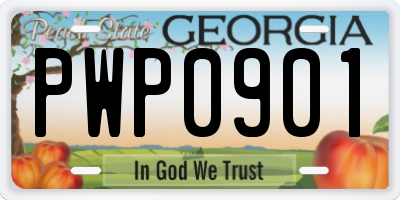 GA license plate PWP0901