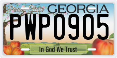 GA license plate PWP0905