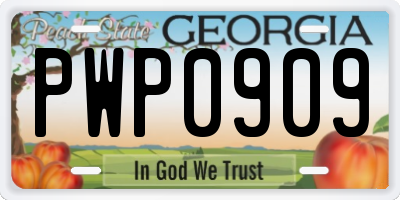 GA license plate PWP0909