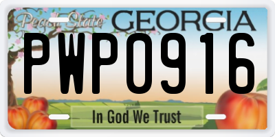 GA license plate PWP0916