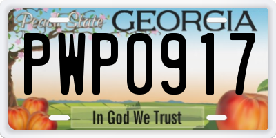 GA license plate PWP0917