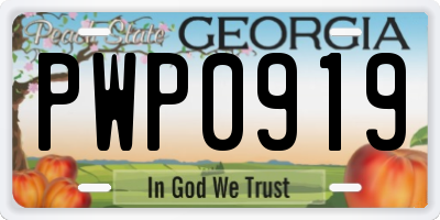 GA license plate PWP0919