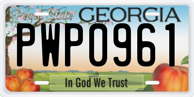 GA license plate PWP0961