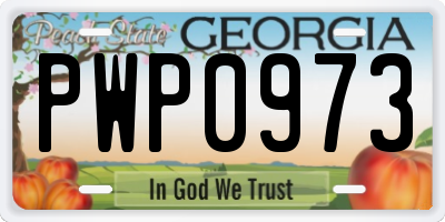 GA license plate PWP0973