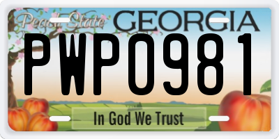 GA license plate PWP0981