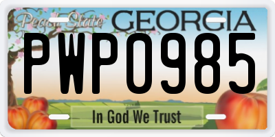 GA license plate PWP0985