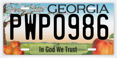 GA license plate PWP0986