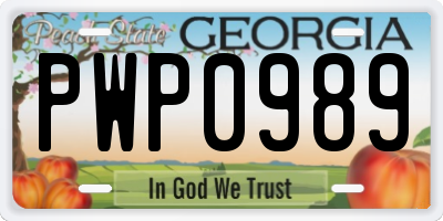 GA license plate PWP0989