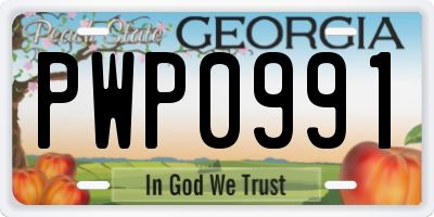GA license plate PWP0991